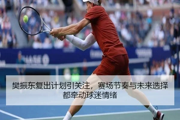 樊振东复出计划引关注，赛场节奏与未来选择都牵动球迷情绪